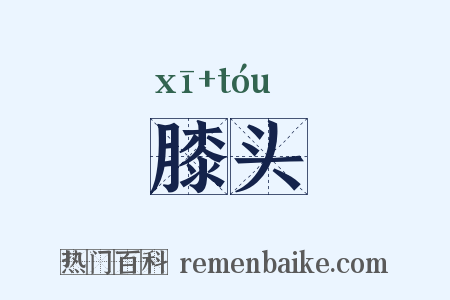 膝头是什么意思的图片